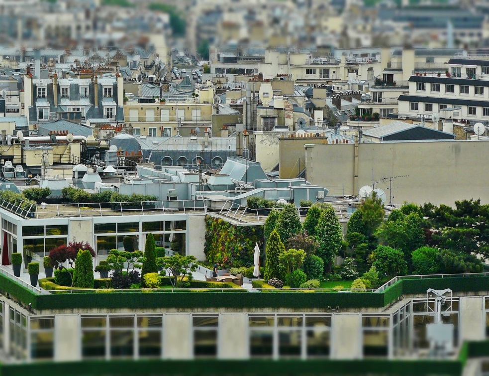 Transition écologique et énergétique, les nouvelles attributions ministérielles