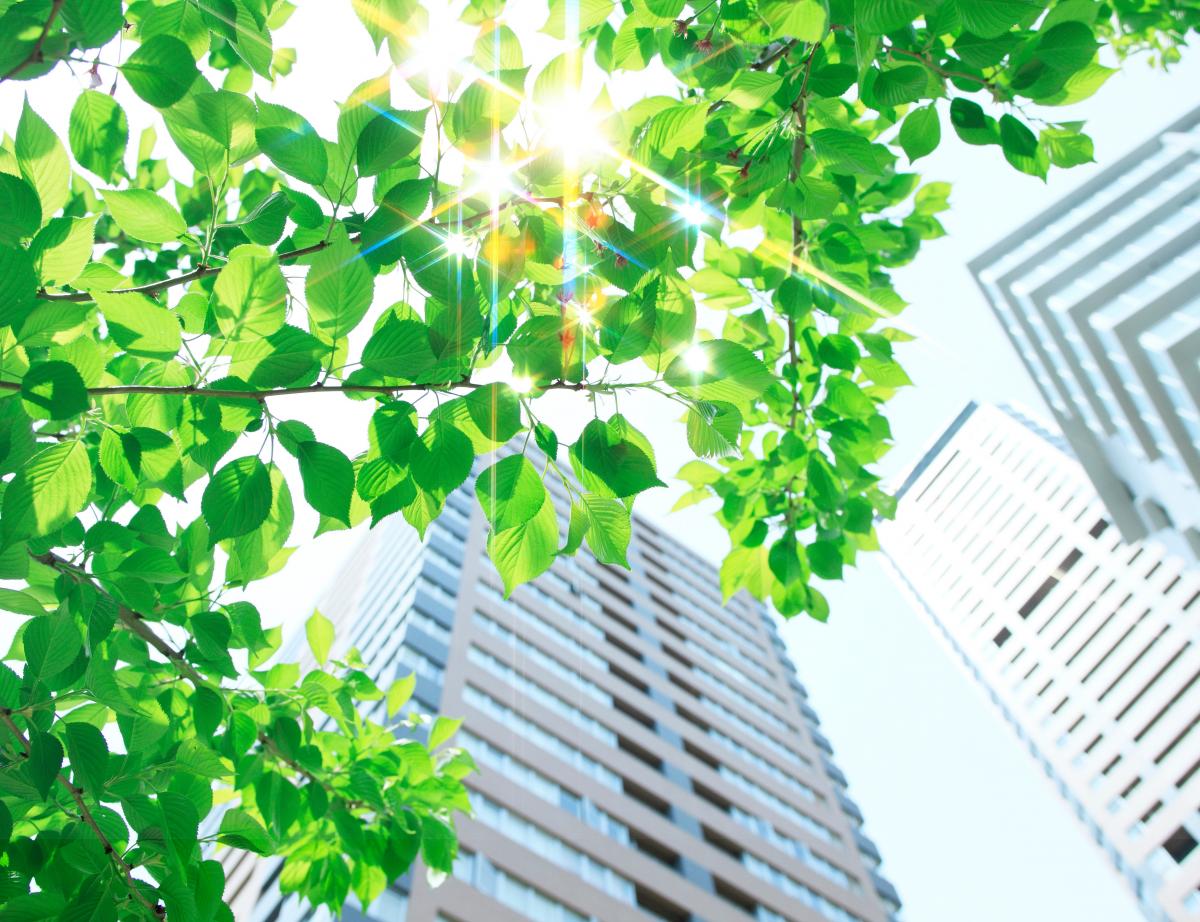 Professionnels du bâtiment : comment expliquer la RE 2020 à vos clients ?