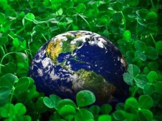 Conférence environnementale: les débats s'annoncent houleux !