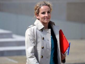 ENR: bientôt du "made in France" dans les appels d'offres ?