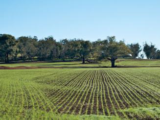 Budget 2013 du Logement: le choc foncier aura-t-il lieu ?