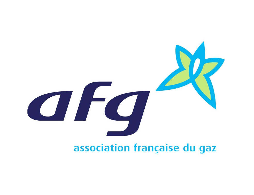 Face à la crise énergétique, l'industrie gazière doit prendre des mesures "structurelles"