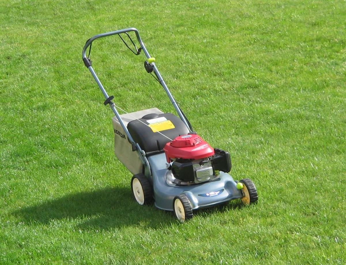 Que prendre en compte avant dacheter une tondeuse pour votre gazon ?