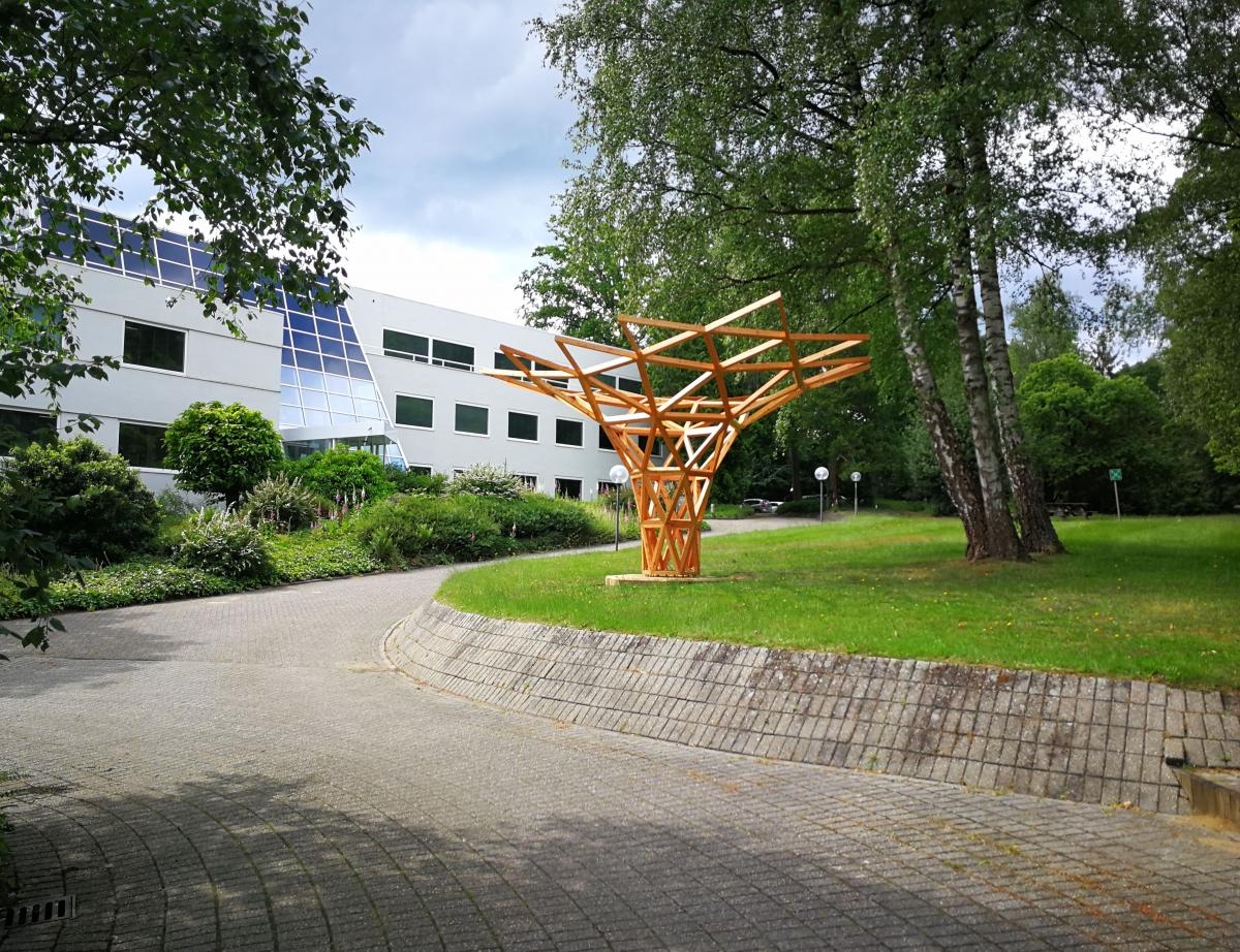 Une oeuvre dart complexe en bois à Velp