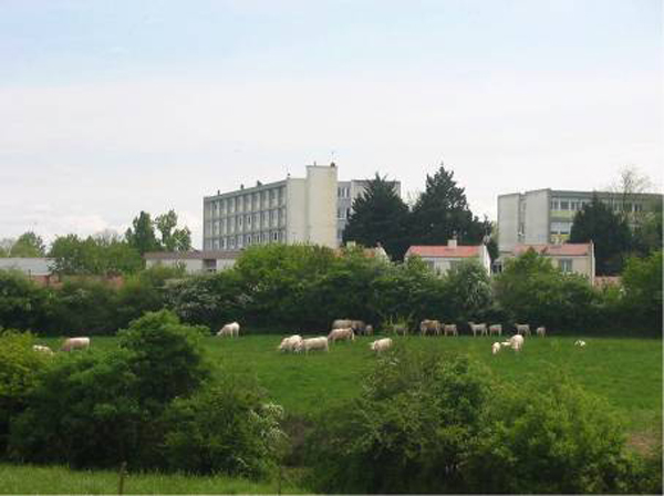 Les aménageurs dénoncent la fiscalité sur les terrains