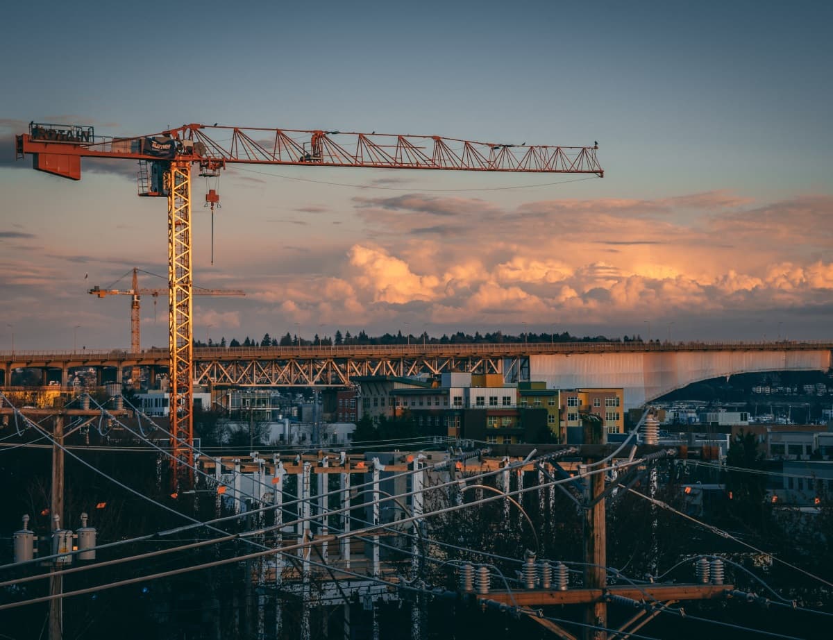 Grue dans un paysage urbain le soir