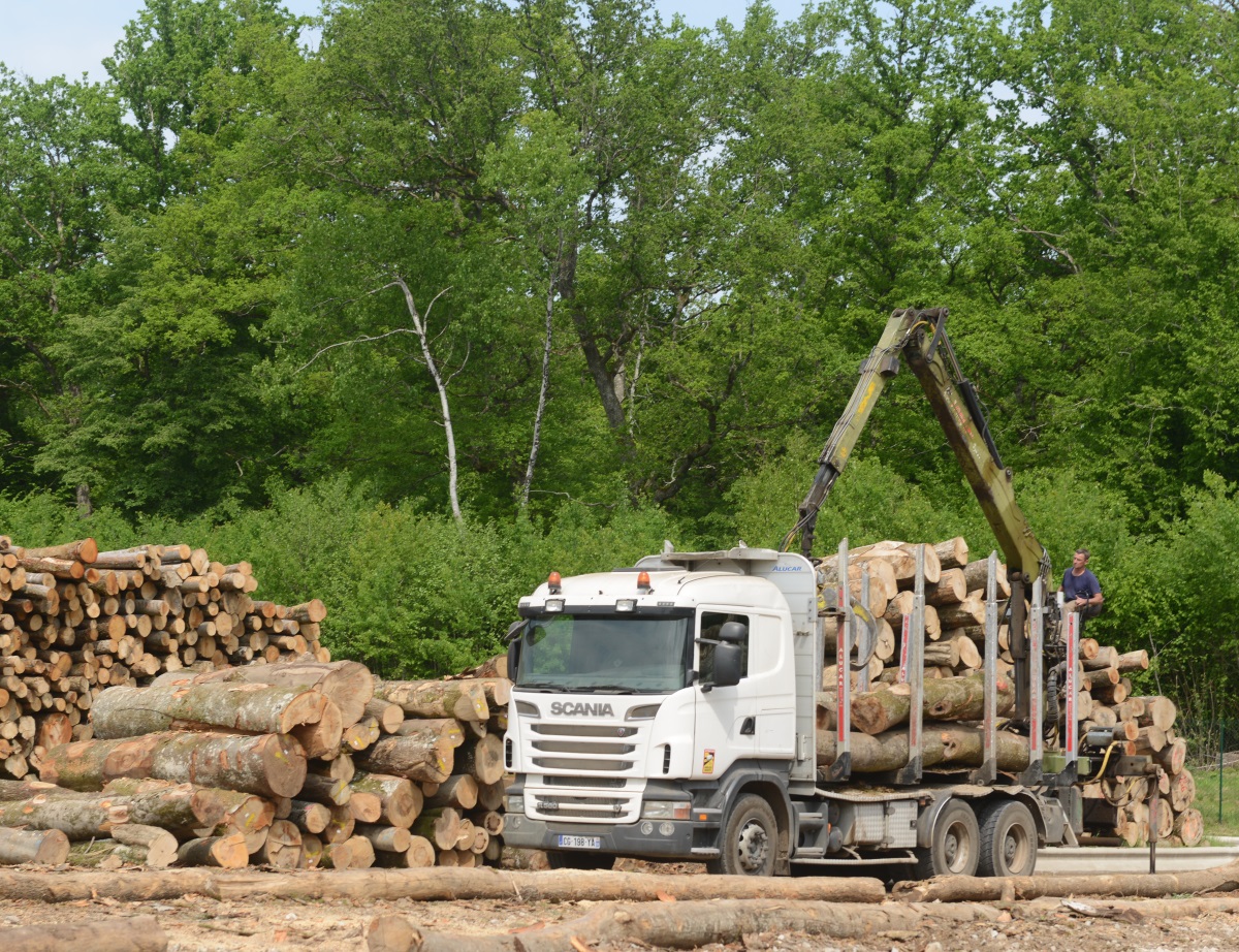 Véhicule pour le transport du bois