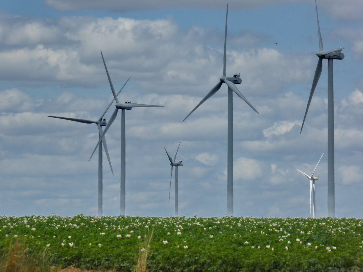 Des éoliennes au milieu de champs de pommes-de-terre près d'Amiens
