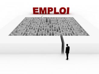 Sécurisation de lemploi : quid des TPE-PME ?