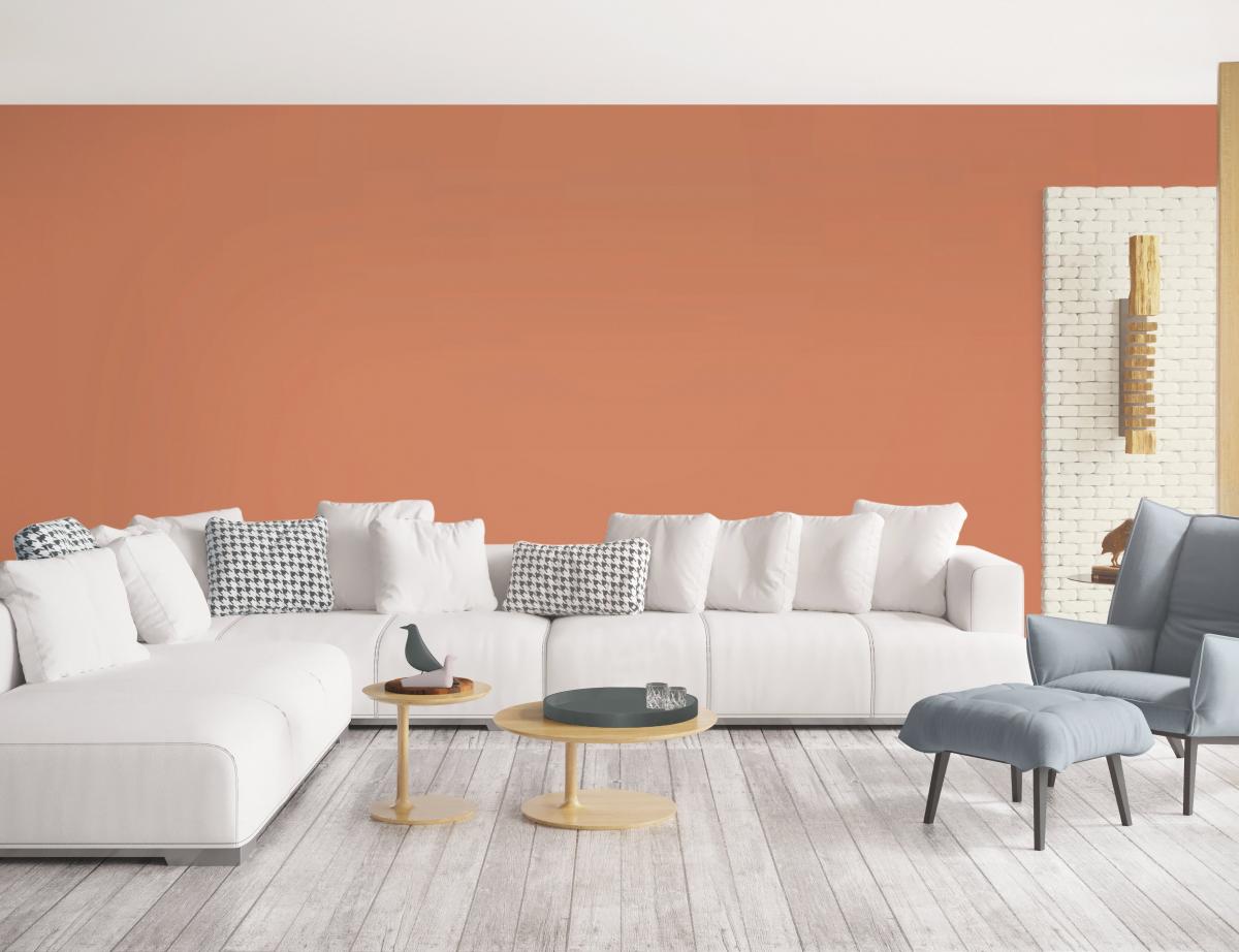 Gamme ONDIKYD, la qualité simplement