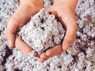 Les ouates de cellulose retournent dans le « Vert »