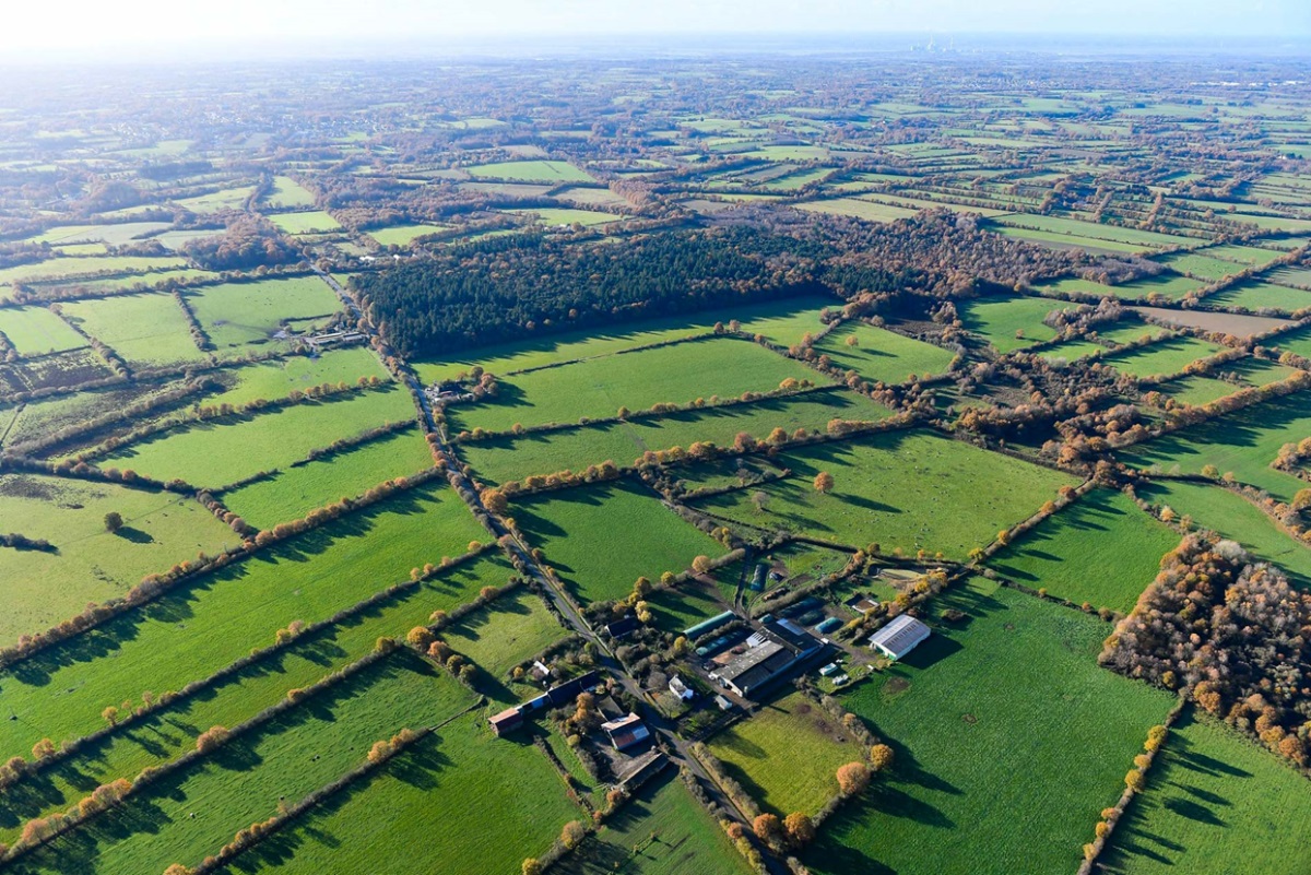 © Franck Dubray / Ouest-France