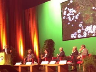 Murs et toits végétalisés font leur show à Nantes