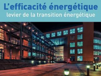 La filière électrique mobilisée pour la transition énergétique