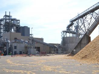 Pavatex simplante au cur de la forêt vosgienne