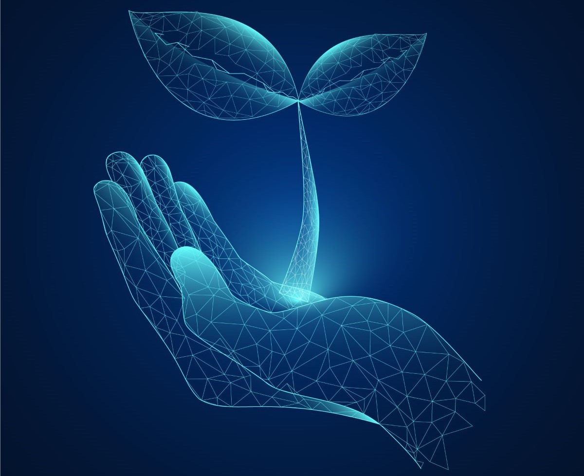 EnR : les différentes filières de la décarbonation. © Freepik