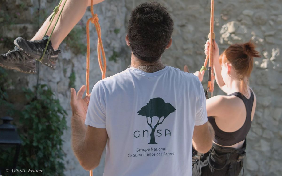 (Groupe National de Surveillance des Arbres. © GNSA