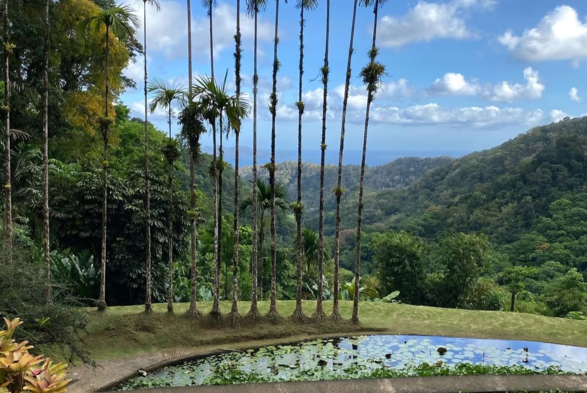 L'OPPBTP s'installe en Guadeloupe. © Muriel Pons Limongi