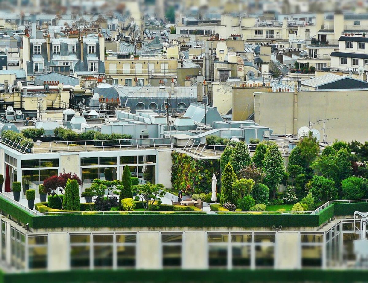 Toit terrasse végétalisé