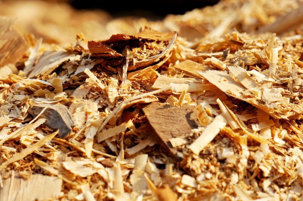 Filière bois-construction : tri, recyclage et valorisation. © Freepik