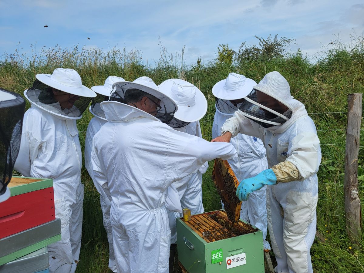 Préserver les pollinisateurs. © UNICEM Pays de la Loire