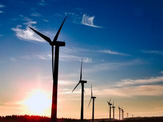 Eolien et solaire couvrent 4,3% de la consommation electrique