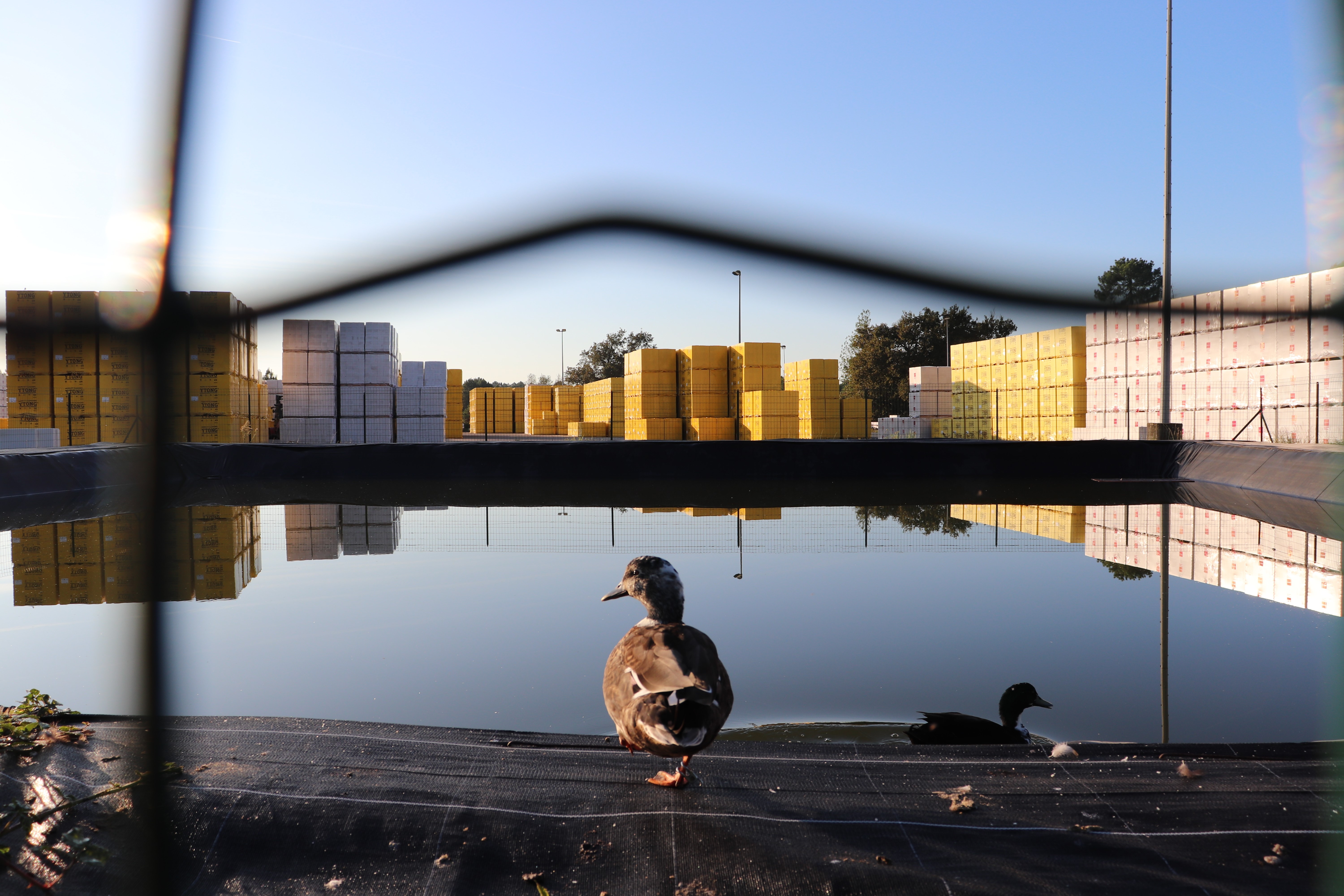 Lusine de Mios produit 100 000 m3 de béton cellulaire par an. © EJH