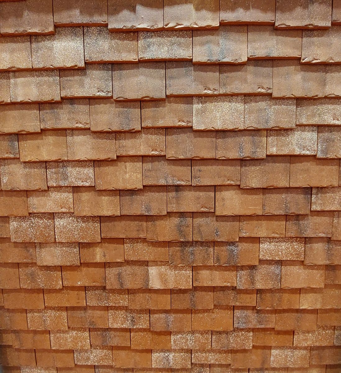 wienerberger initie un plan de compensation écologique inédit pour sa carrière de Chagny. © Laure Pophillat