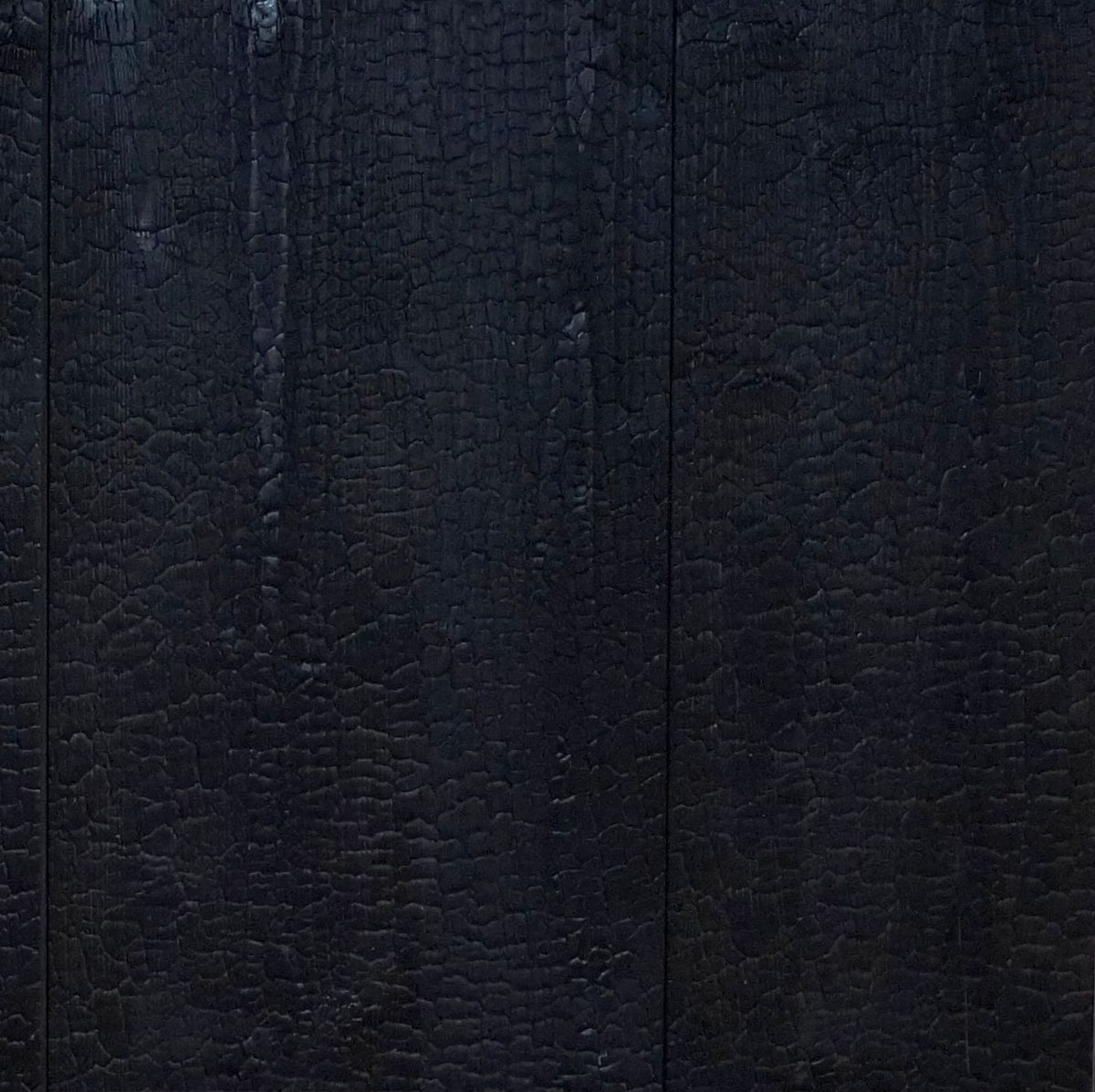 Mocopinus présente un bois noirci sans suie ni résidus de cendre. © Mocopinus