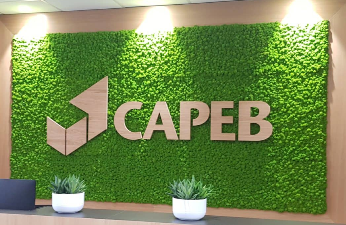 CAPEB : les artisans du bâtiment en ont marre. ©