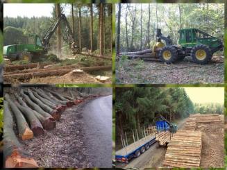 La pluie perturbe les approvisionnements en bois