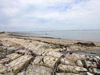 91% des Français contre un assouplissement de la loi Littoral