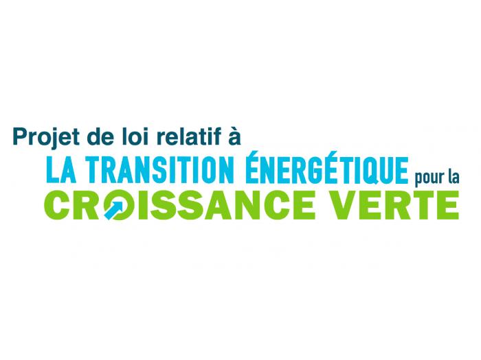 Transition énergétique : réactions des Verts et des Centristes