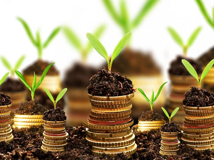 Tiers-financement: un mécanisme à revoir pour la Caisse des dépots