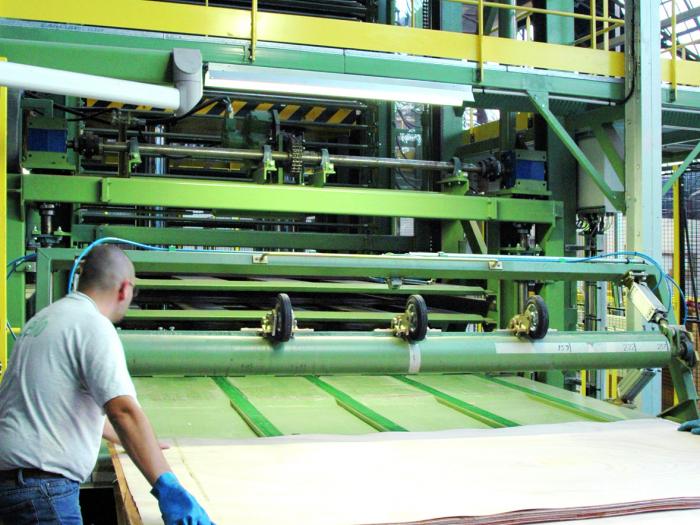 Contreplaqué : Joubert mise aussi sur le peuplier