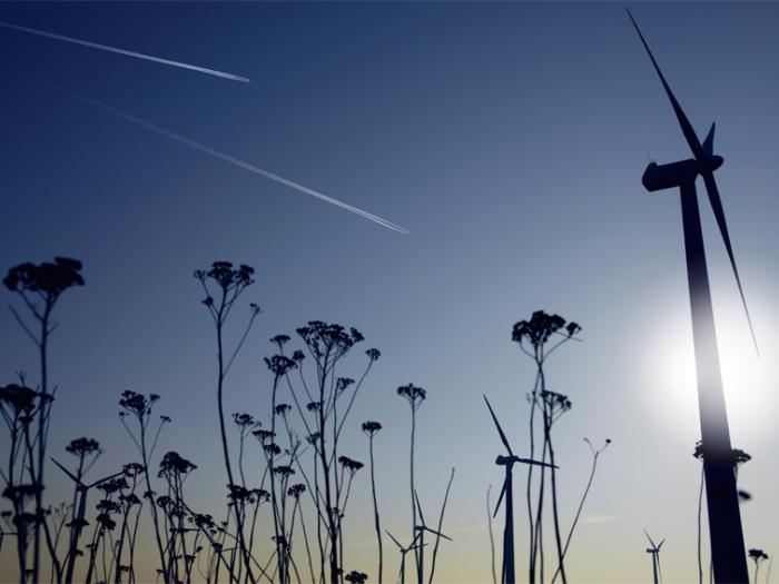 Credit d'impôt transition énergétique : quel coût pour l'Etat ?