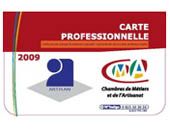 Statut de lAuto entrepreneur : la Capeb veut en débattre au Sénat