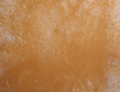 Enduit intérieur : décorer un mur à la chaux (suite)